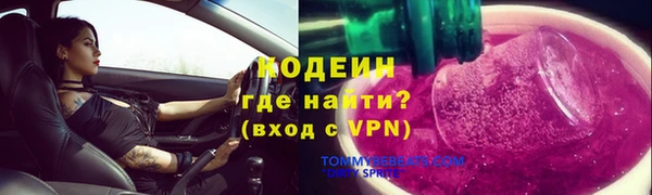 молекула духа Богданович