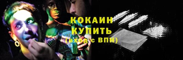 молекула духа Богданович