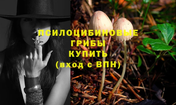 молекула духа Богданович