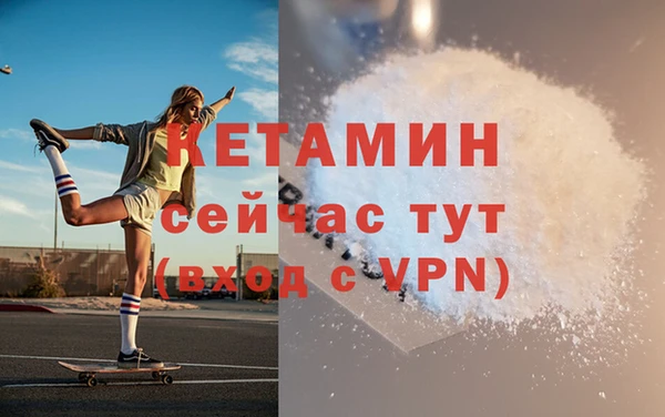 молекула духа Богданович