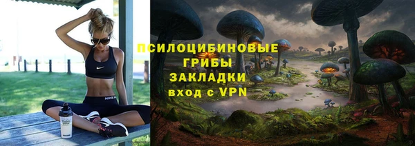 марки nbome Бородино