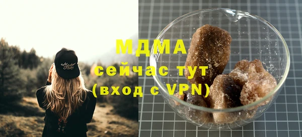 молекула духа Богданович