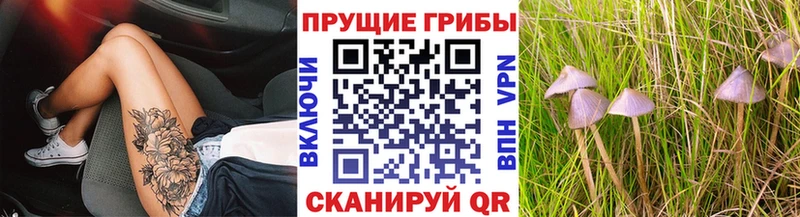 Псилоцибиновые грибы Psilocybine cubensis что такое Дальнереченск